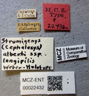Media type: image;   Entomology 22432 Aspect: labels